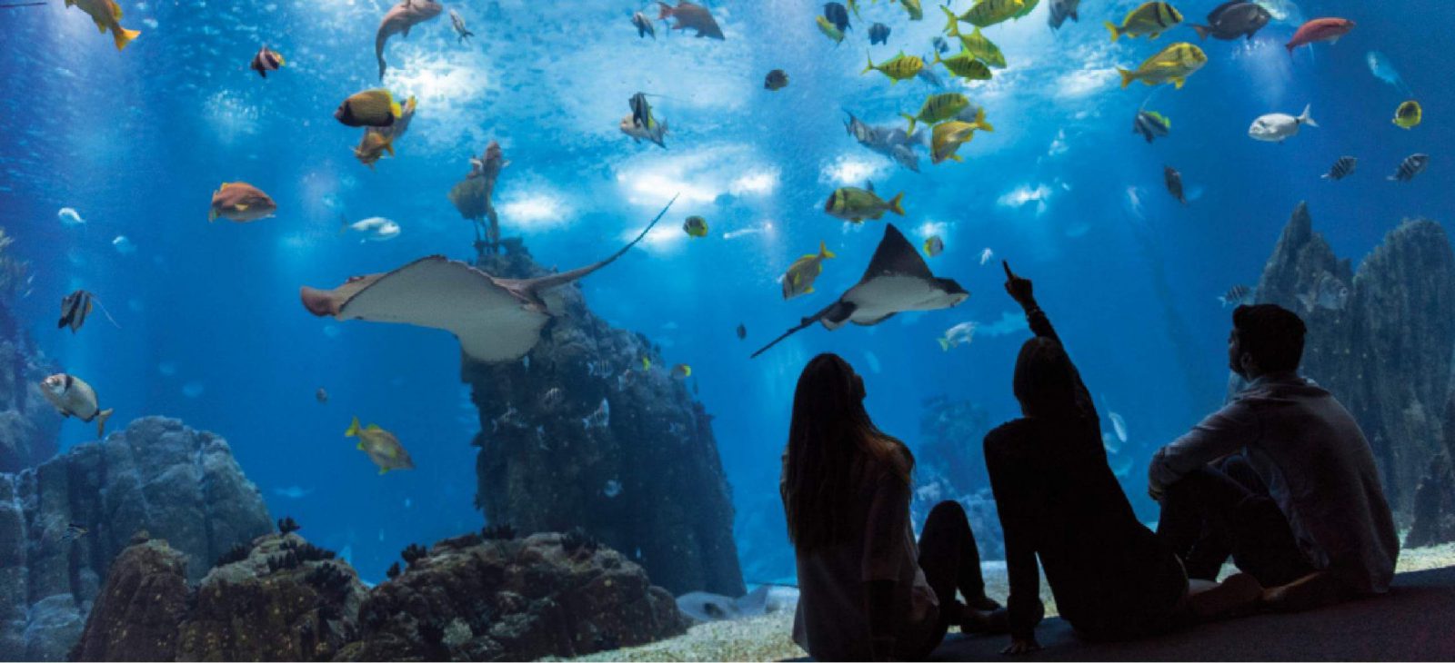 Oceanário