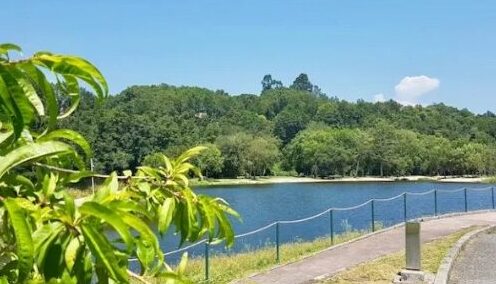 <br />
<b>Warning</b>:  Illegal string offset 'alt' in <b>/home/afpop/community.afpop.com/wp-content/themes/afpop/parts/preview-post-blog.php</b> on line <b>16</b><br />
h